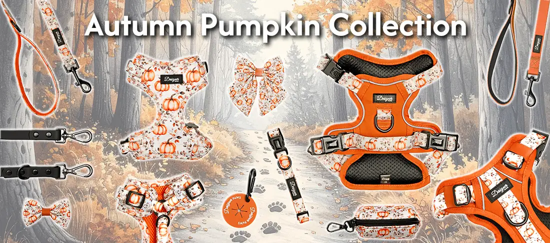 Autumn Pumpkin Dog Harnesses & Accessories