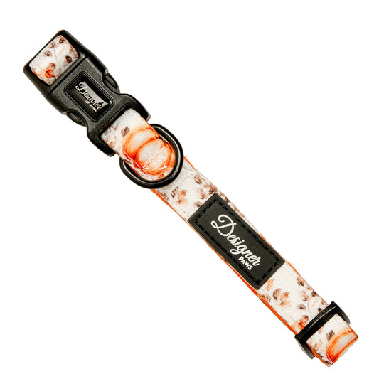 Autumn Pumpkin Collar