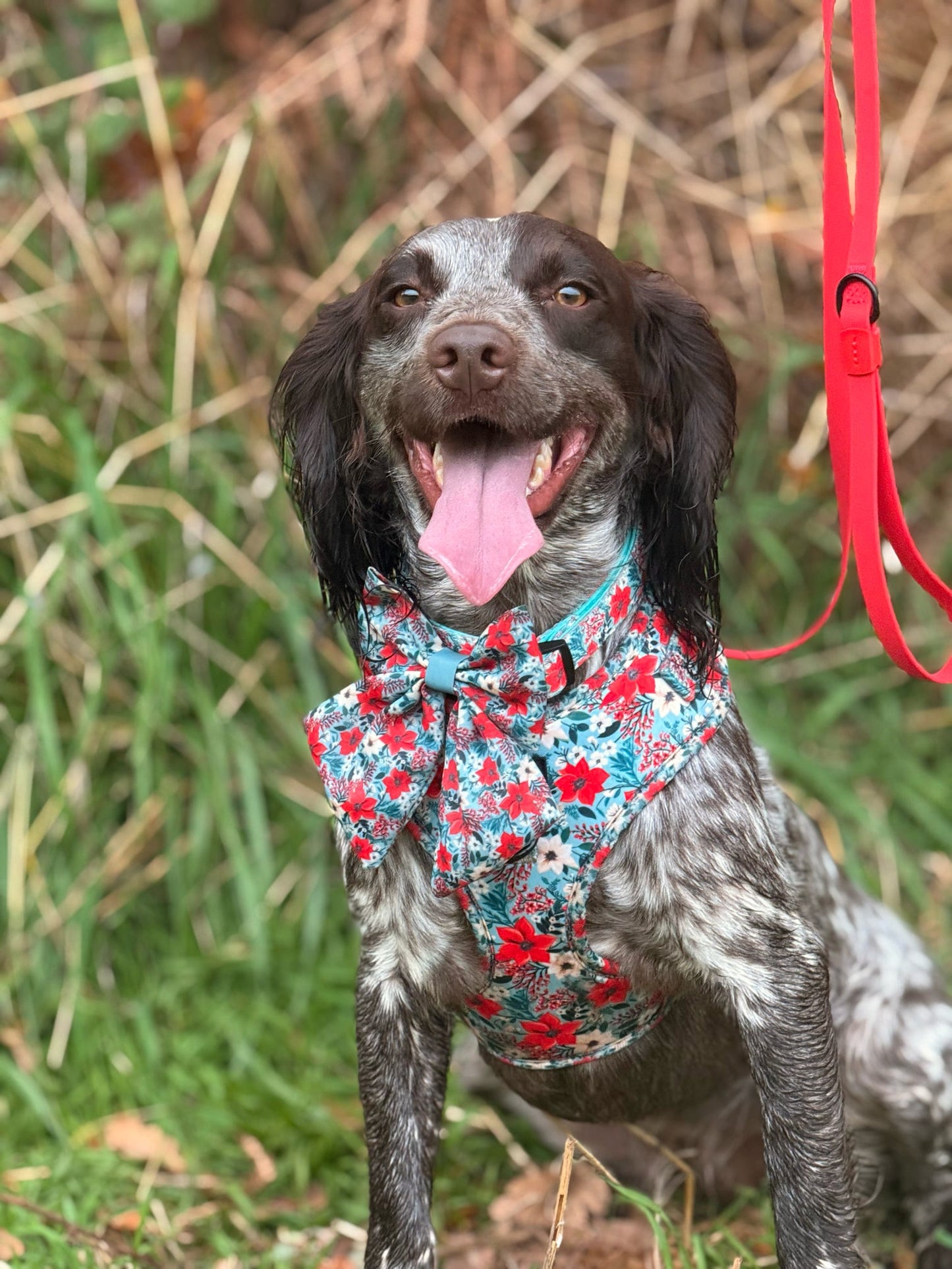 Poinsettia Garden Harnee snad Sailor Bow
