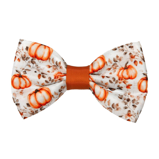 Autumn Pumpkin Dickie Bow