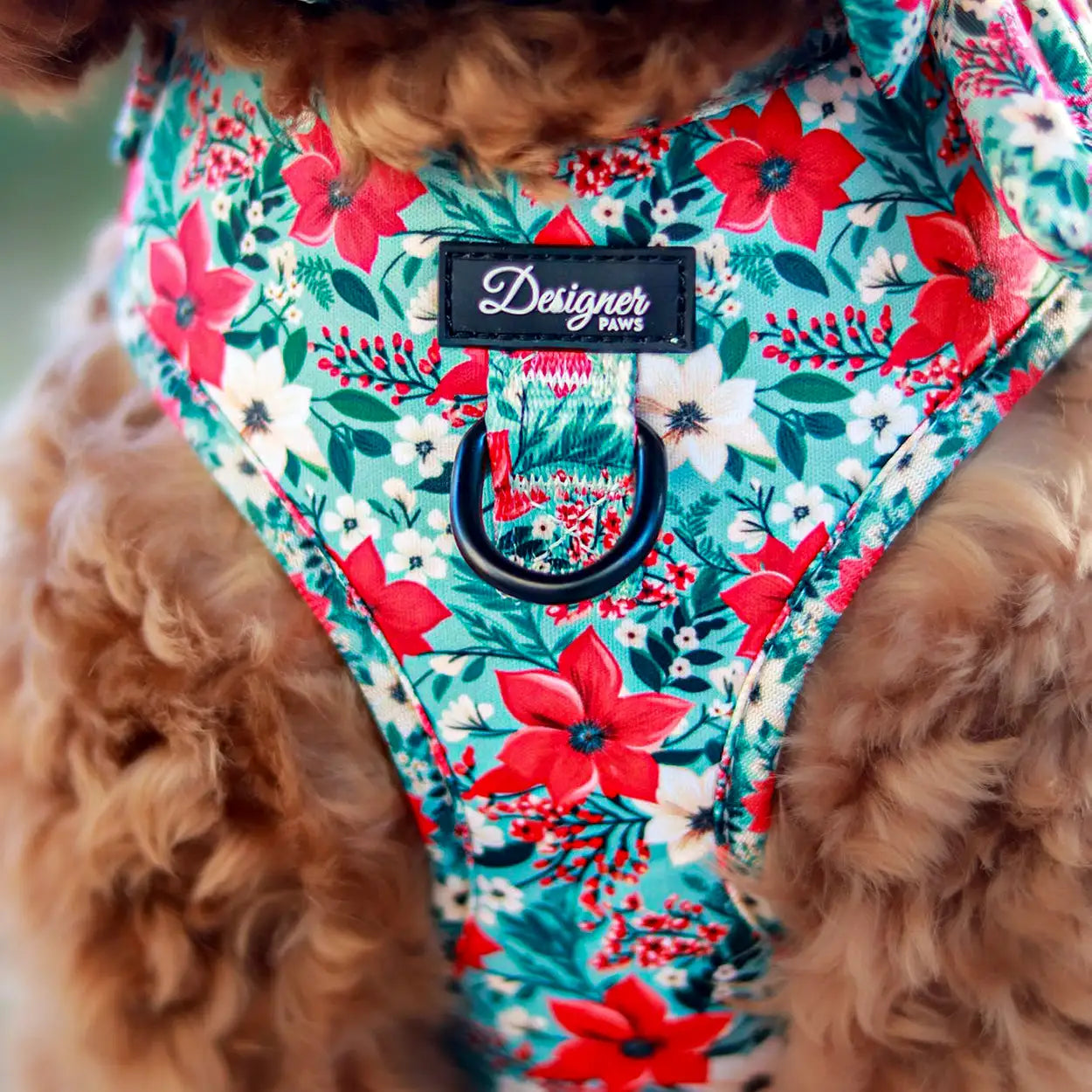 Poinsettia Garden Dog Harness Close-up
