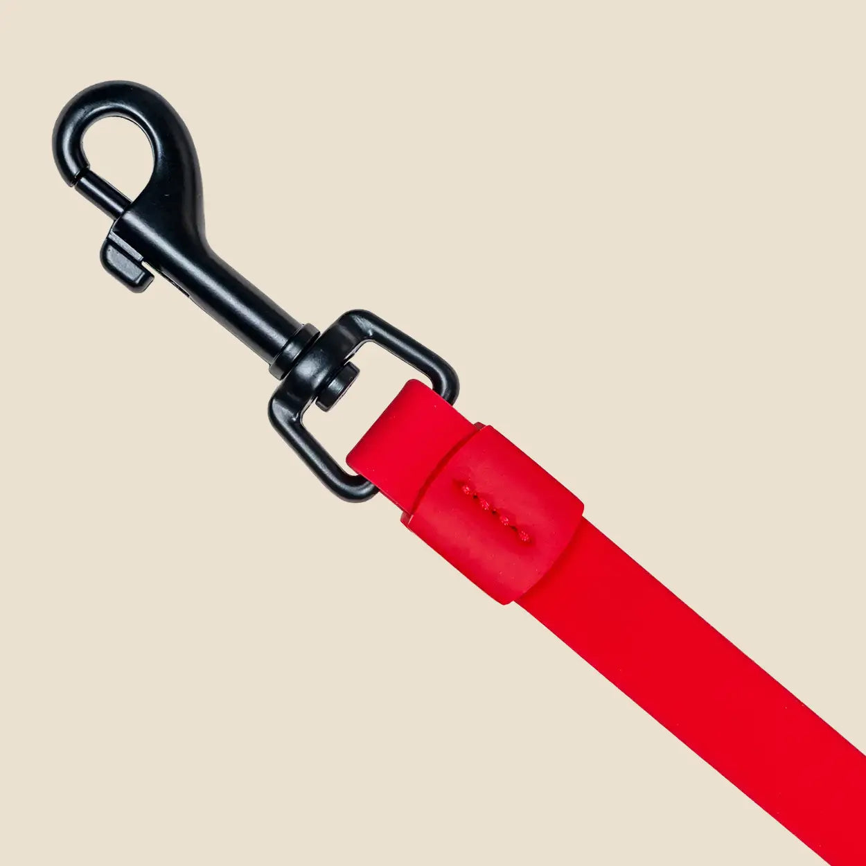 Red Lead Close-up