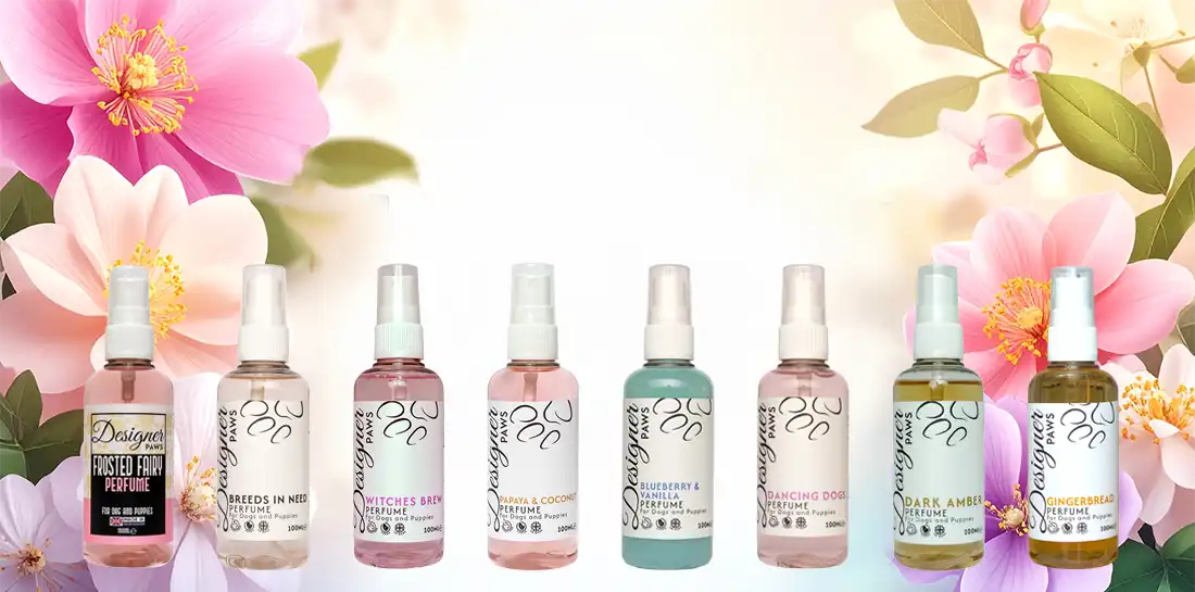 Dog Perfume Banner