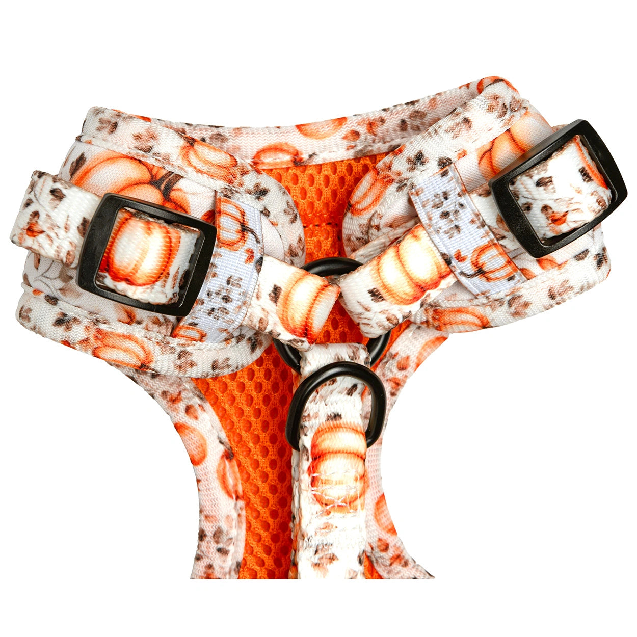 Autumn Pumpkin Harness Adjustable Detail