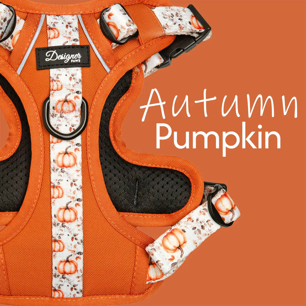 Autumn Pumpkin
