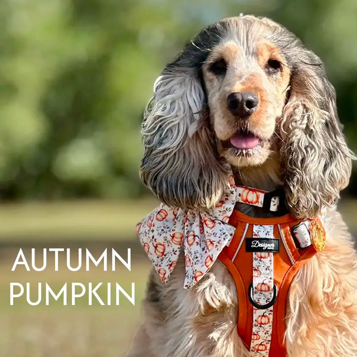 Autumn Pumpkin Designer Paws Cosmetics Ltd