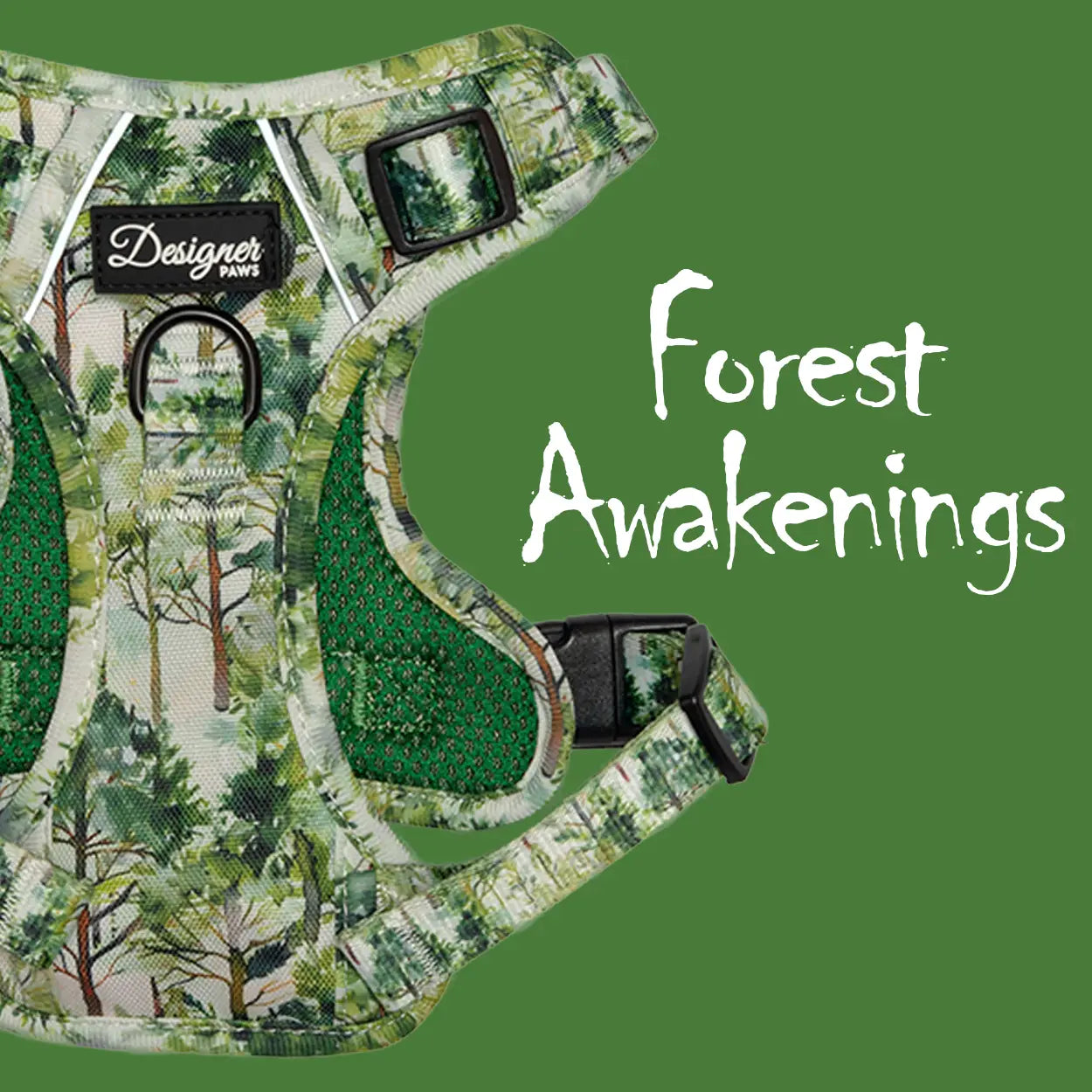 Forest Awakenings