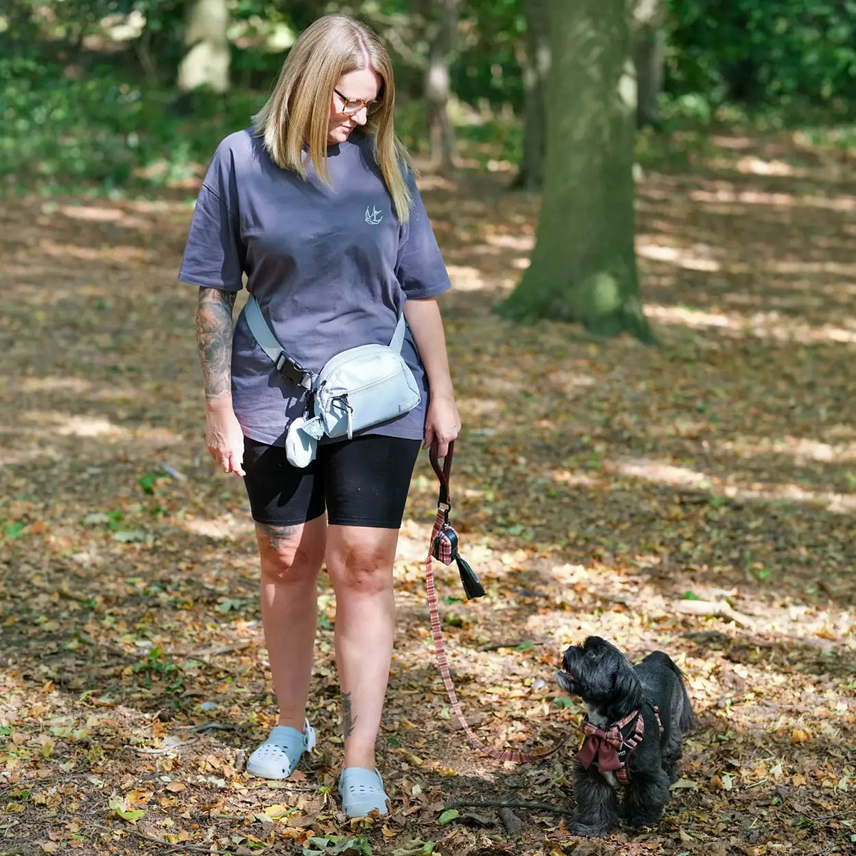 Gray bag on a walk with Ted