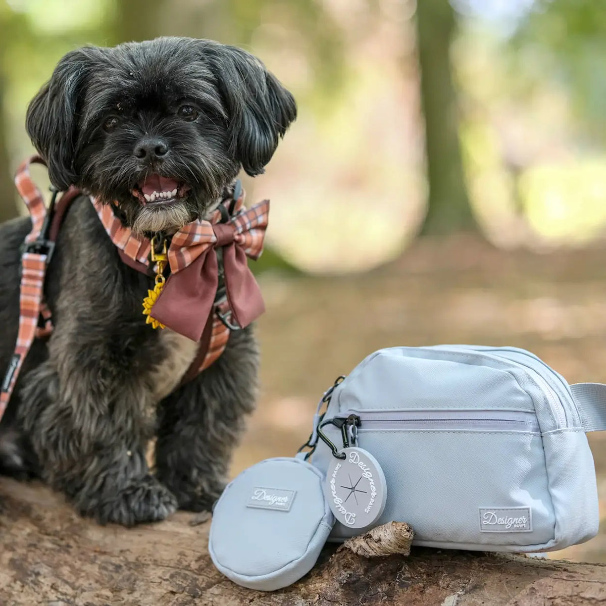 Gray Bag with Ted