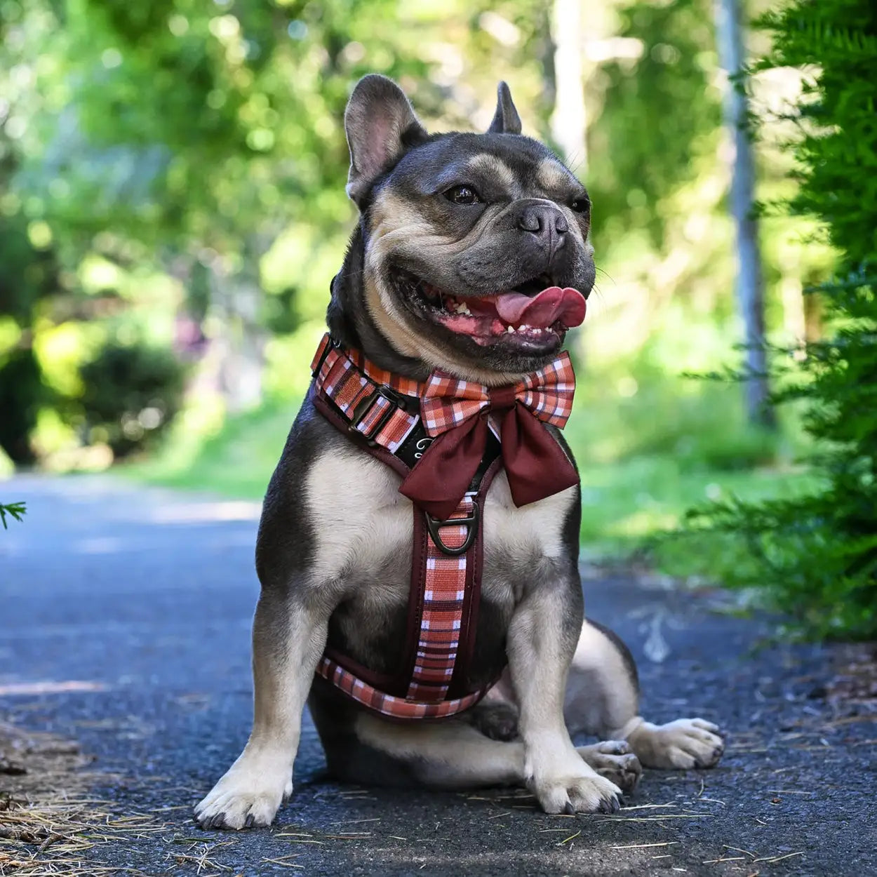 Adventure Pro™ Harness - Walnut Woods