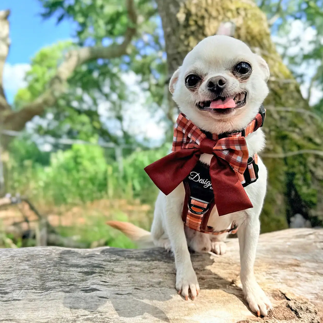 Adventure Pro™ Harness - Walnut Woods