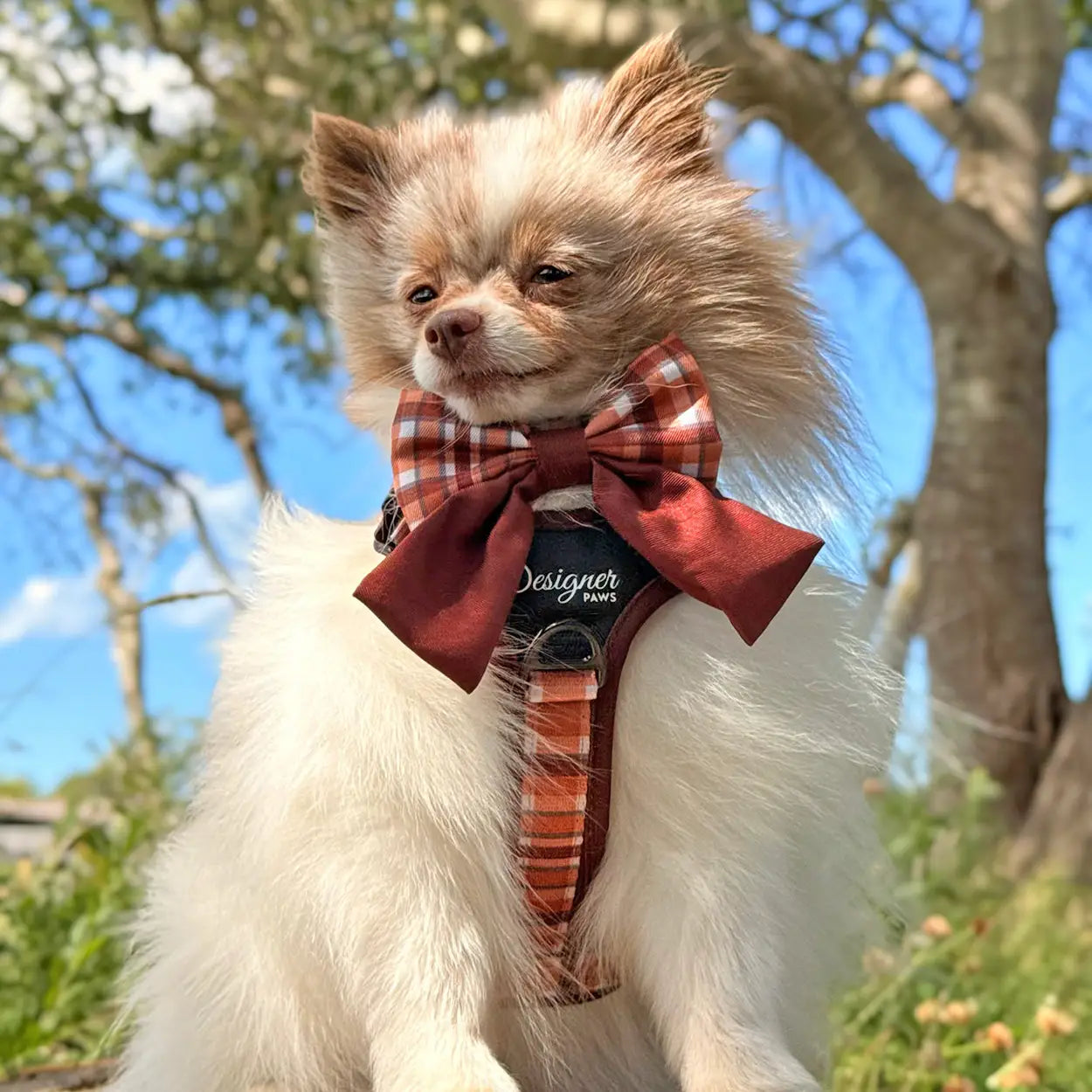 Adventure Pro™ Harness - Walnut Woods