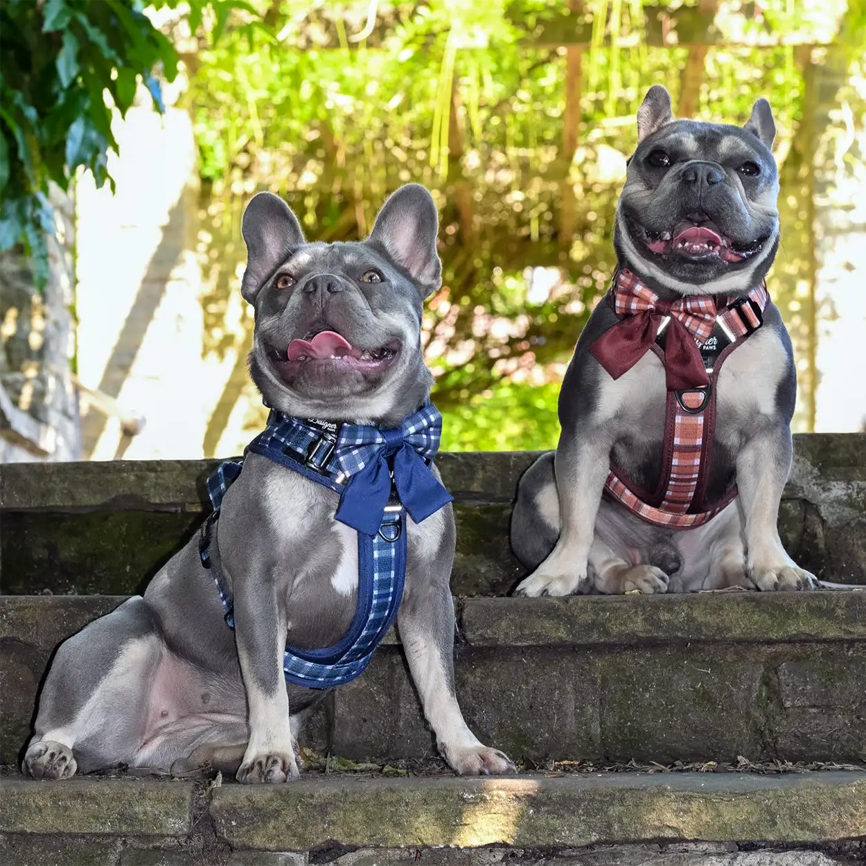 Adventure Pro™ Duo Harness Set – Walnut Woods & Midnight Moor