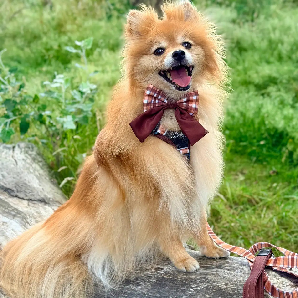 Adventure Pro™ Harness - Walnut Woods