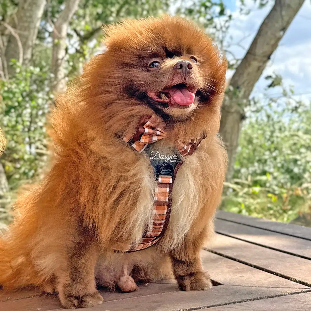 Adventure Pro™ Harness - Walnut Woods