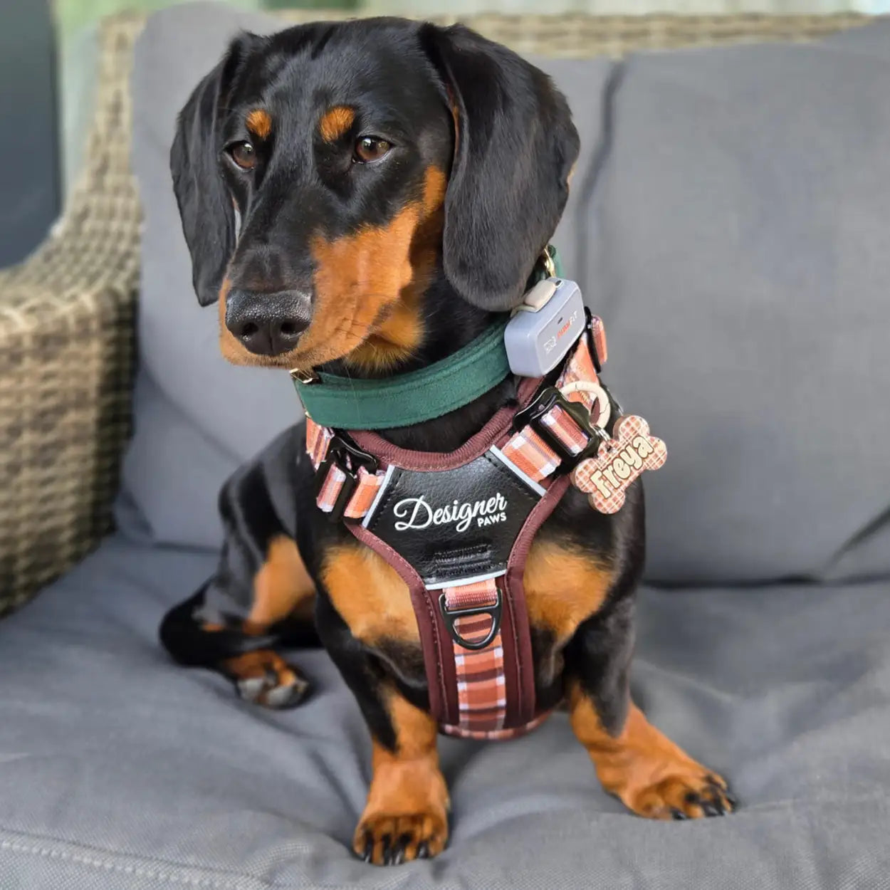 Adventure Pro™ Harness - Walnut Woods