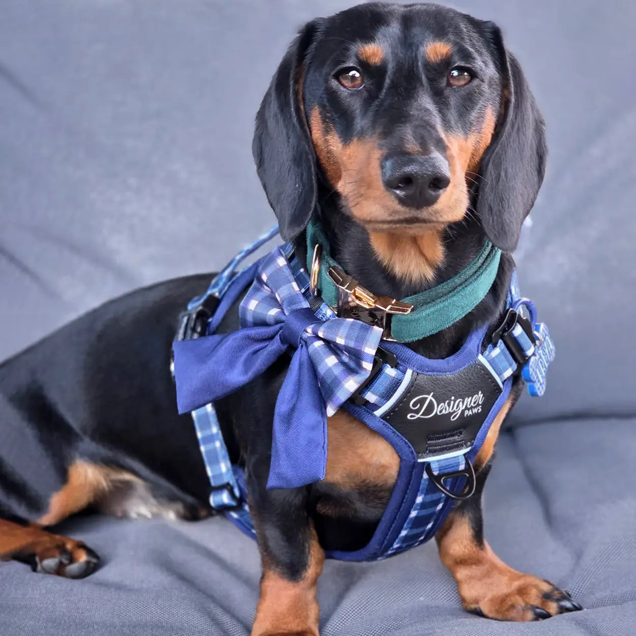 Adventure Pro™ Harness - Midnight Moor
