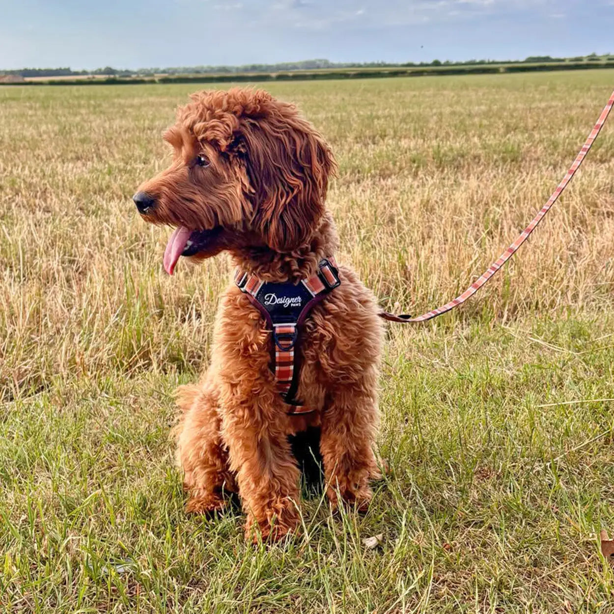Adventure Pro™ Harness - Walnut Woods