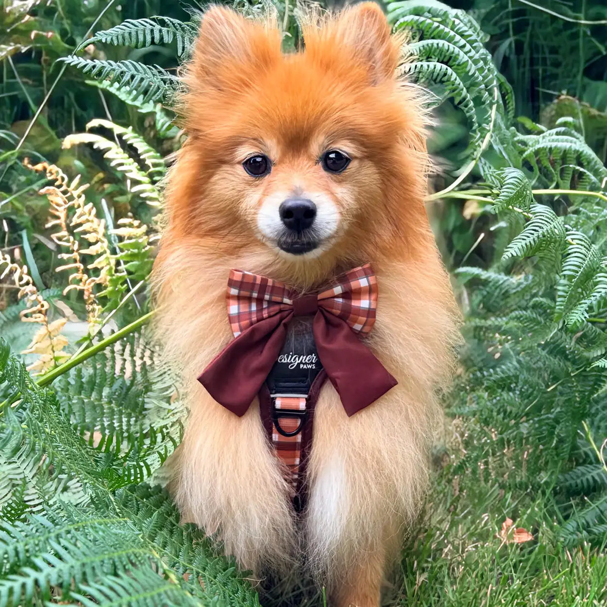 Adventure Pro™ Harness - Walnut Woods