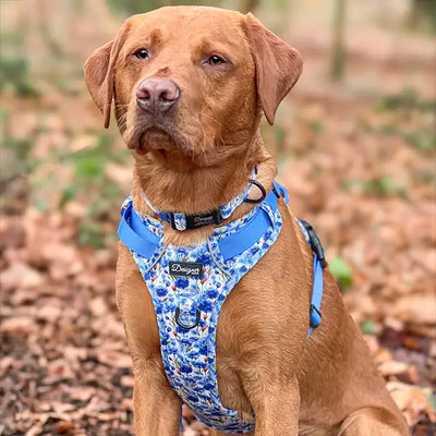 Dog with Flowers of the Forrest Harness and Lead