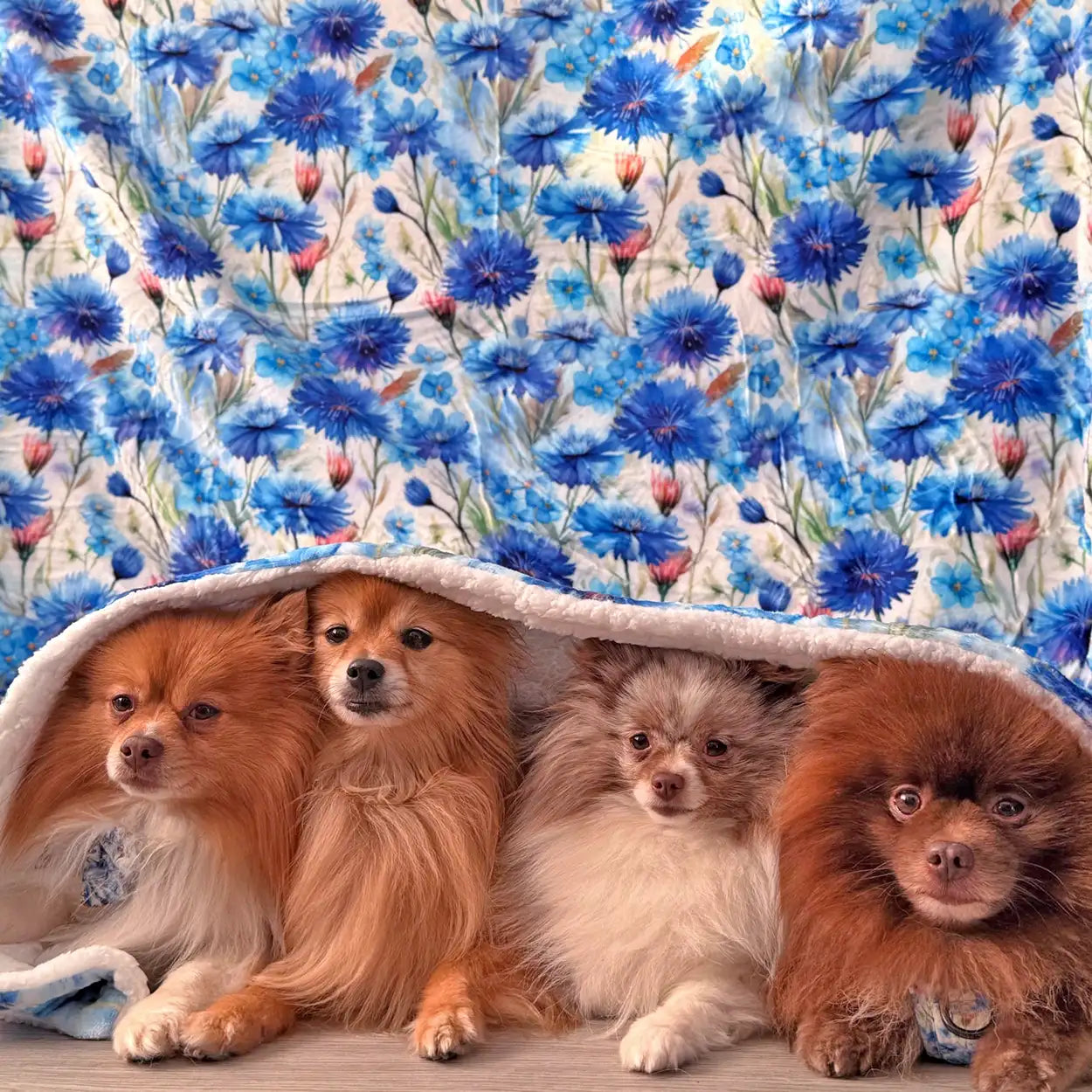 Flowers of the Forrest Dog Blanet with cute dogs