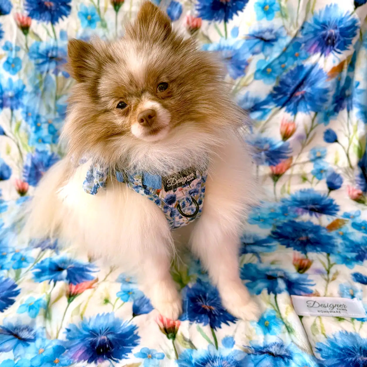 Flowers of the Forrest Dog Blanet with cute dog