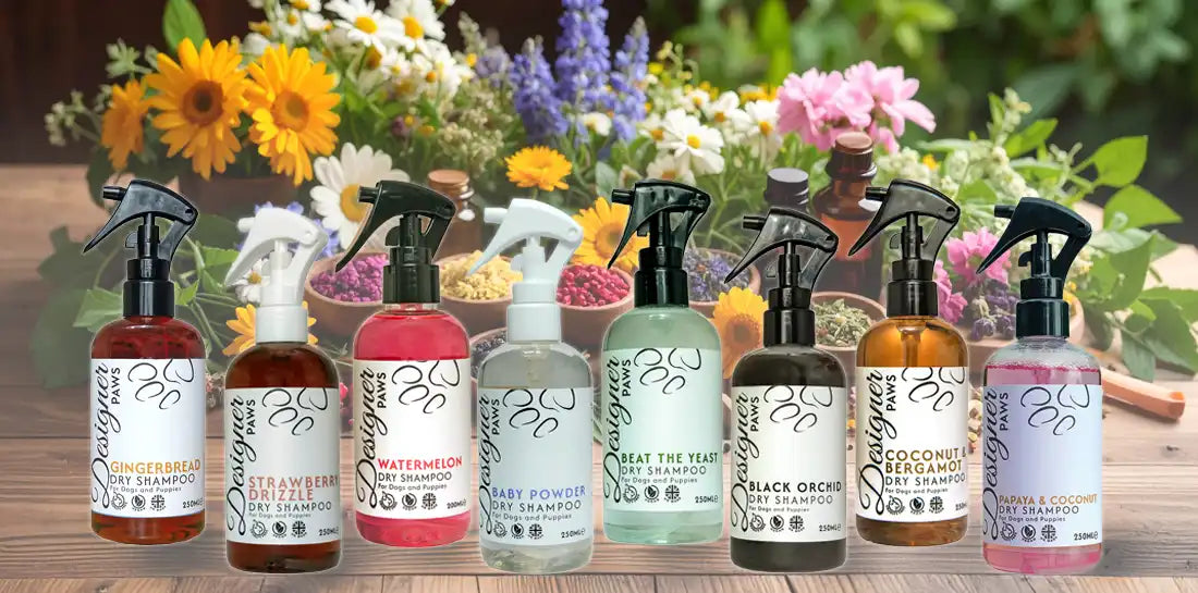 Dry Shampoo Banner for dogs