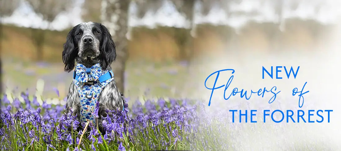 Flowers of the Forrest Banner