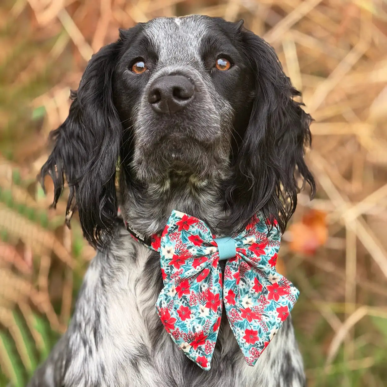 Poinsettia Garden Sailor Bow