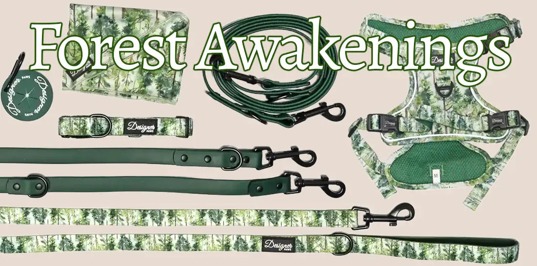 Forest Awakenings Banner