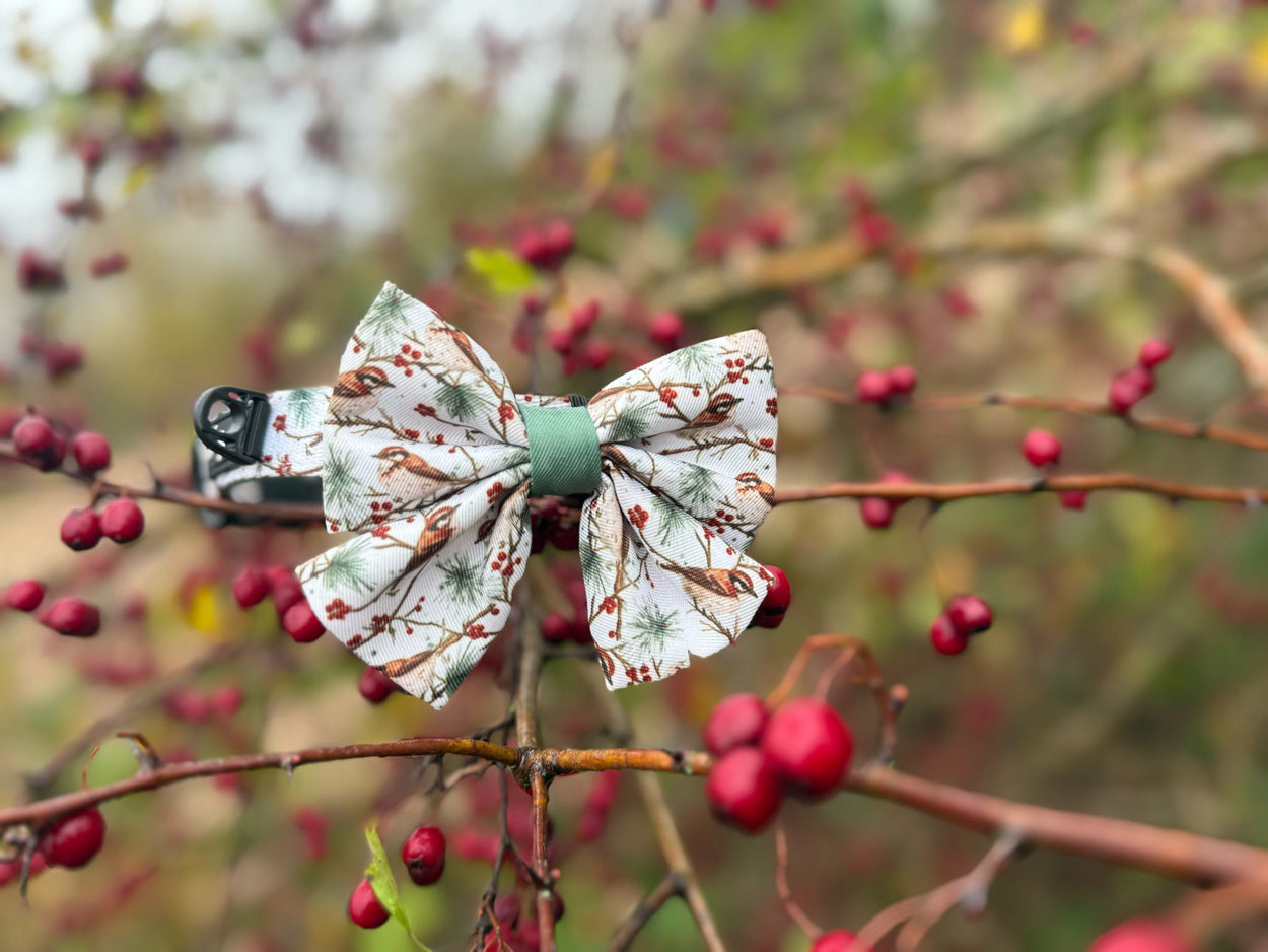Frosted Finch Collar and Sailor Bow