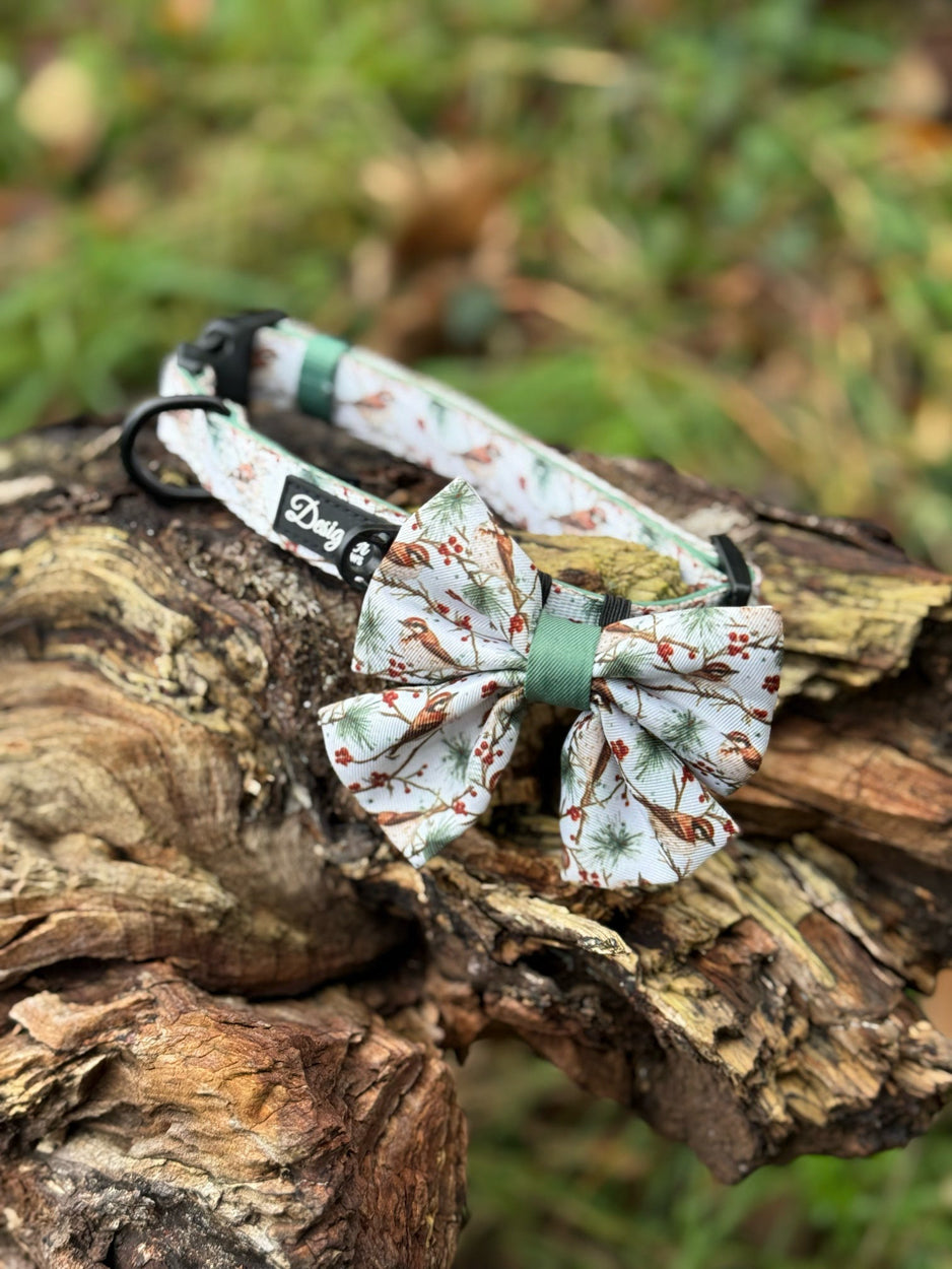Frosted Finch Harness Collar and Sailor Bow