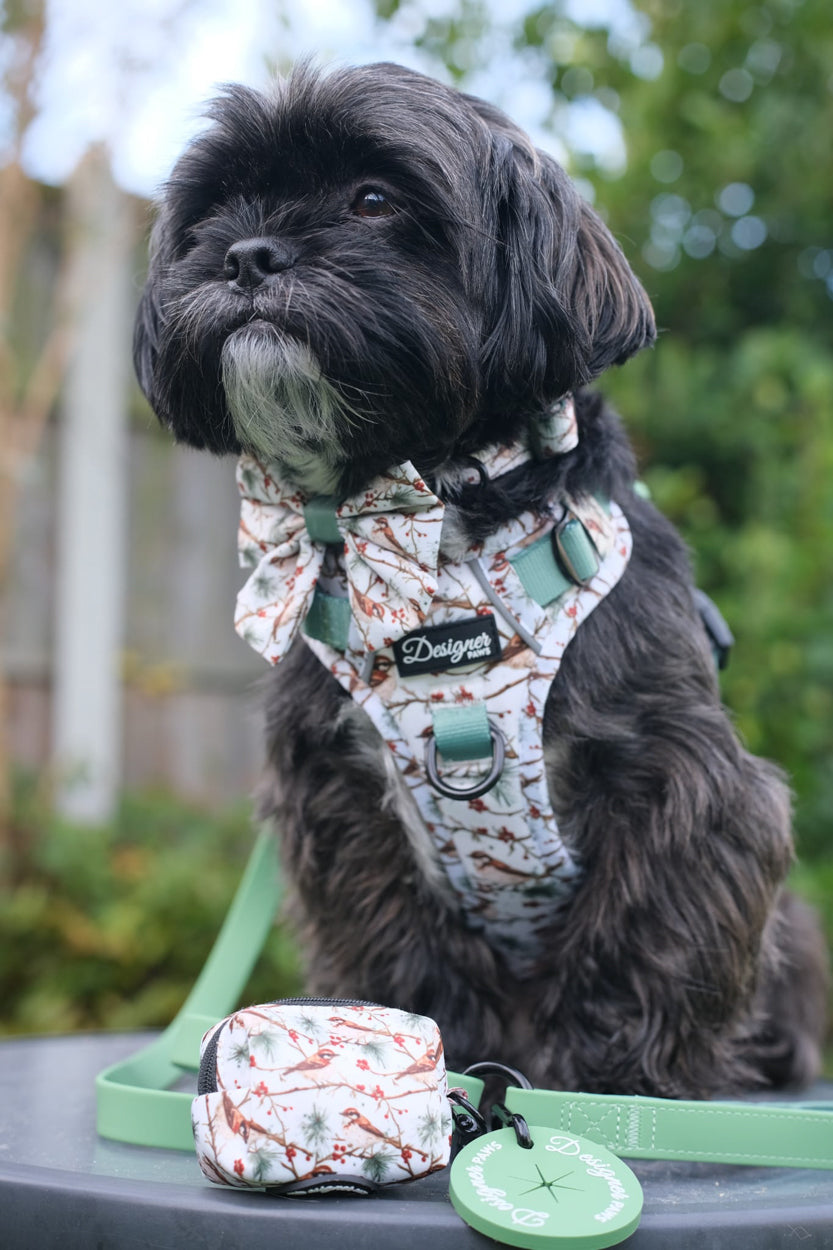 Dogs modelling Frosted Finch Harness Collection
