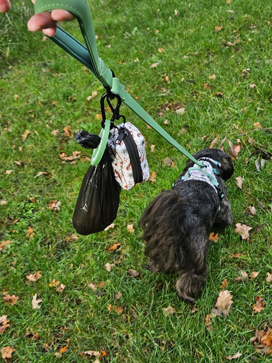 Dog modelling Frosted Finch Harness Collection on a walk