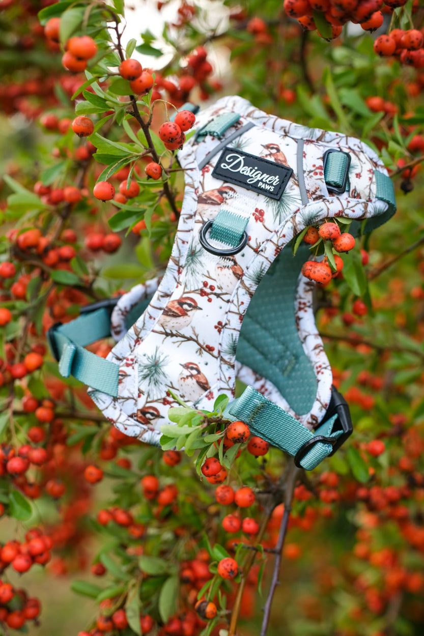 Frosted finch Harness