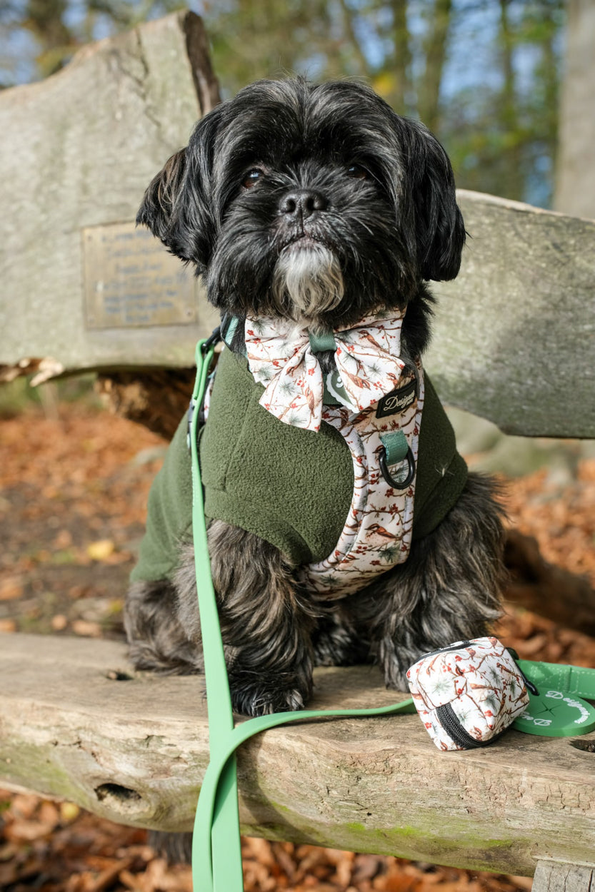 Dog modelling Frosted Finch Harness Collection