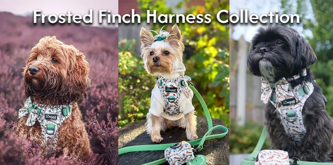 Frosted Finch Harness Collection Banner