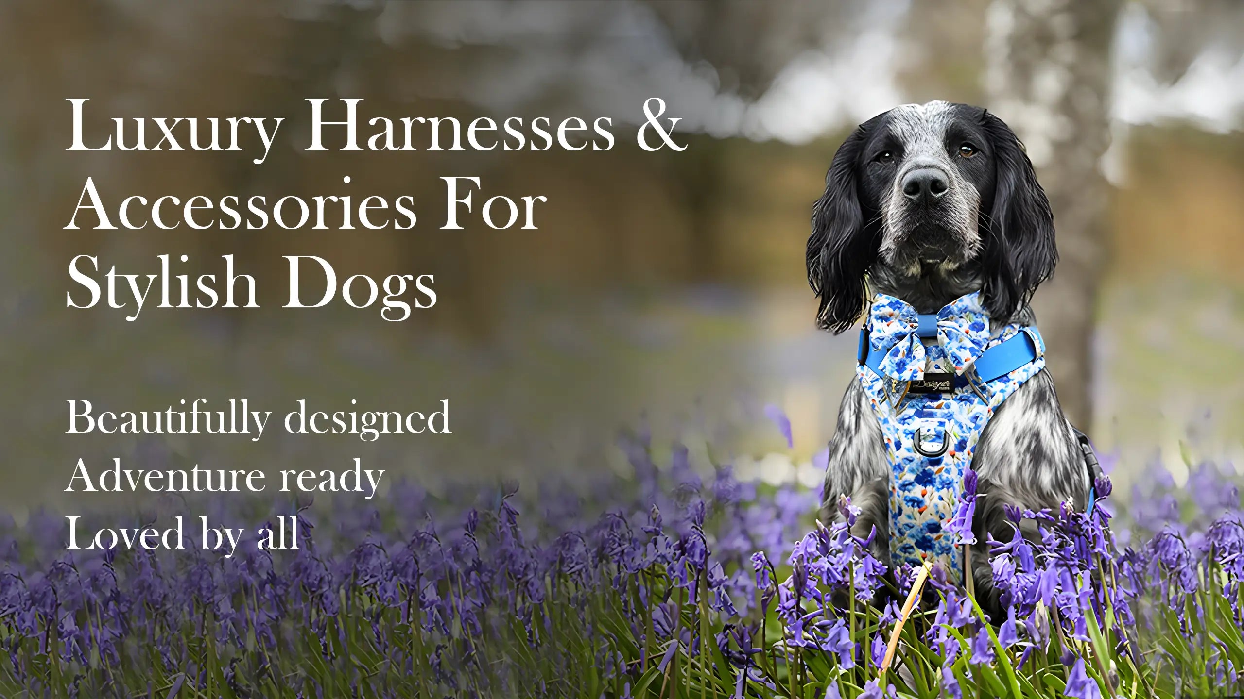 Dog wearing a blue harness and bow tie in a field of purple flowers with text about luxury dog harnesses and accessories.