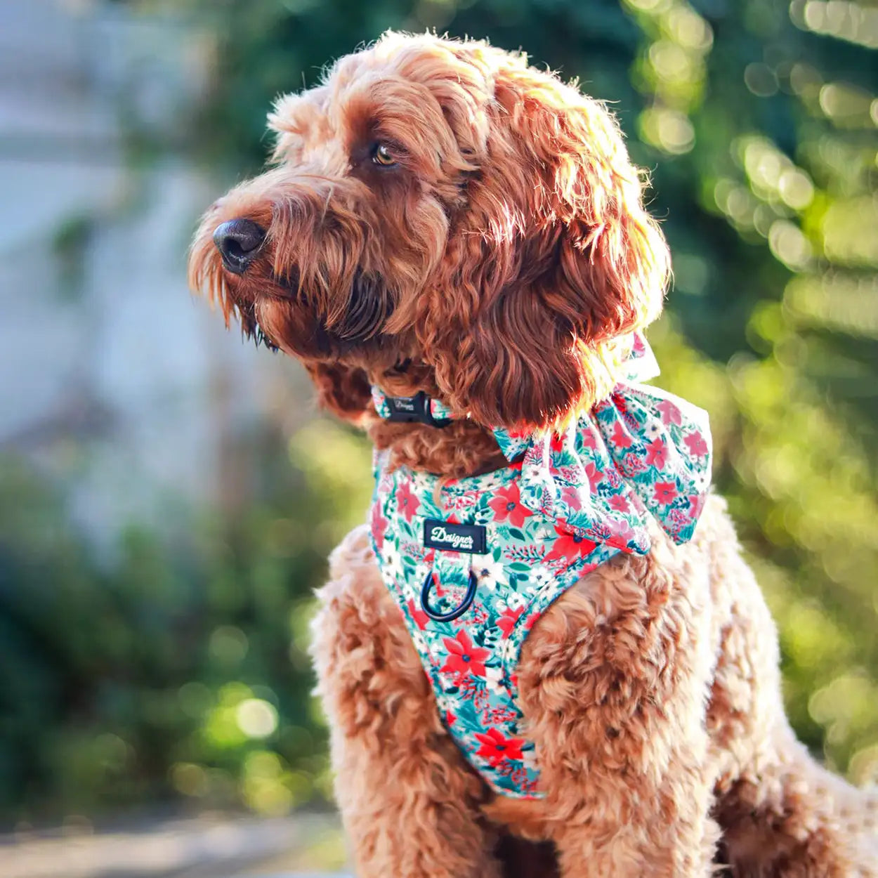 Poinsettia Garden Harness and Sailor Bow