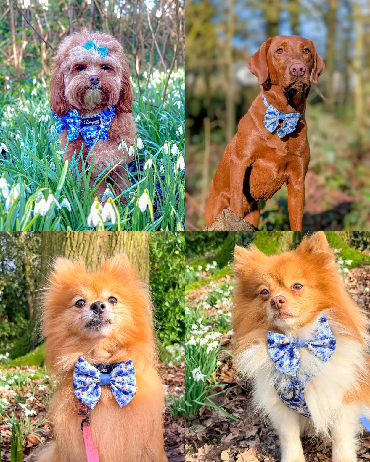 Flowers of the Forrest Sailor Bow Montage 2