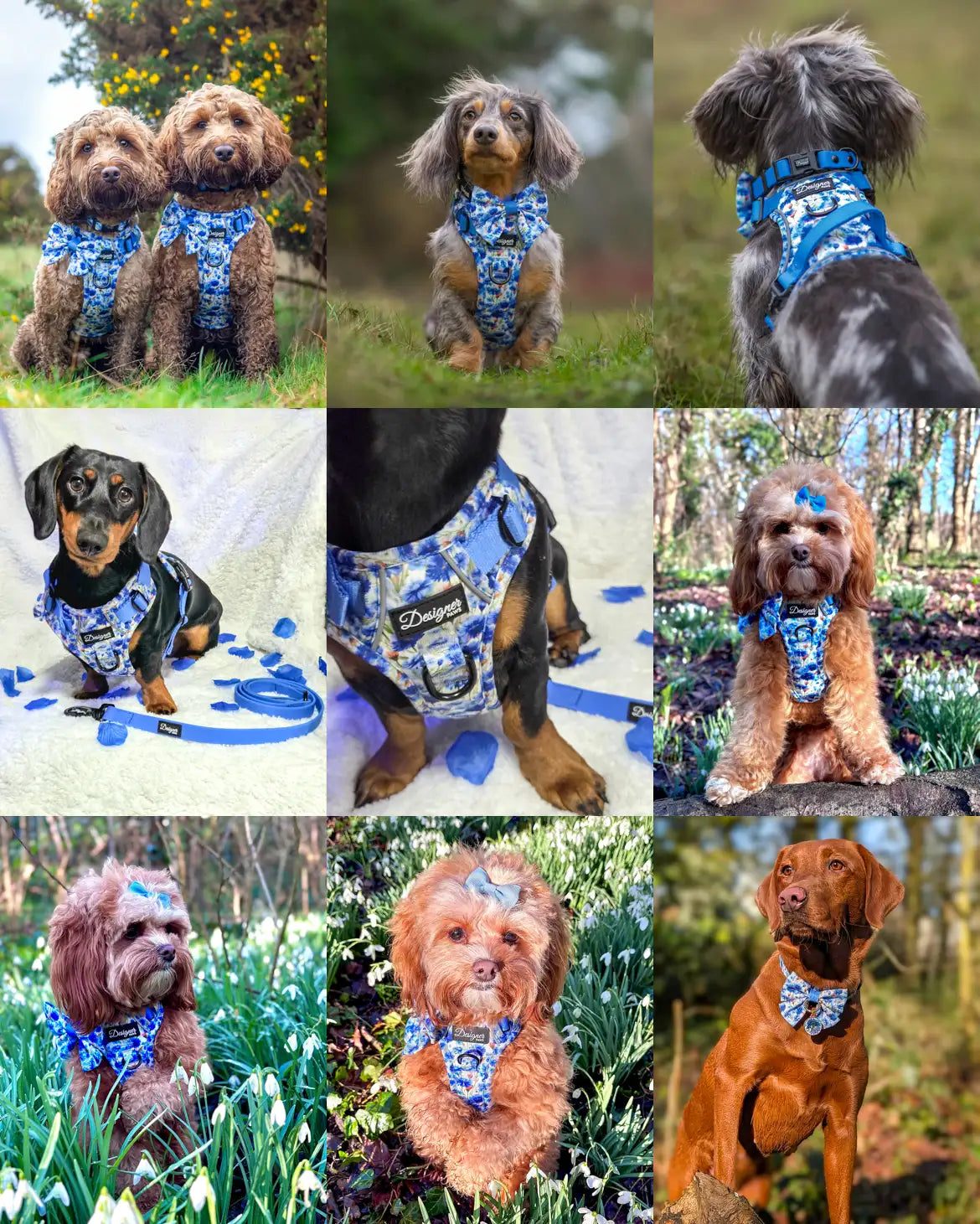 Flowers of the Forrest Harness Montage 4