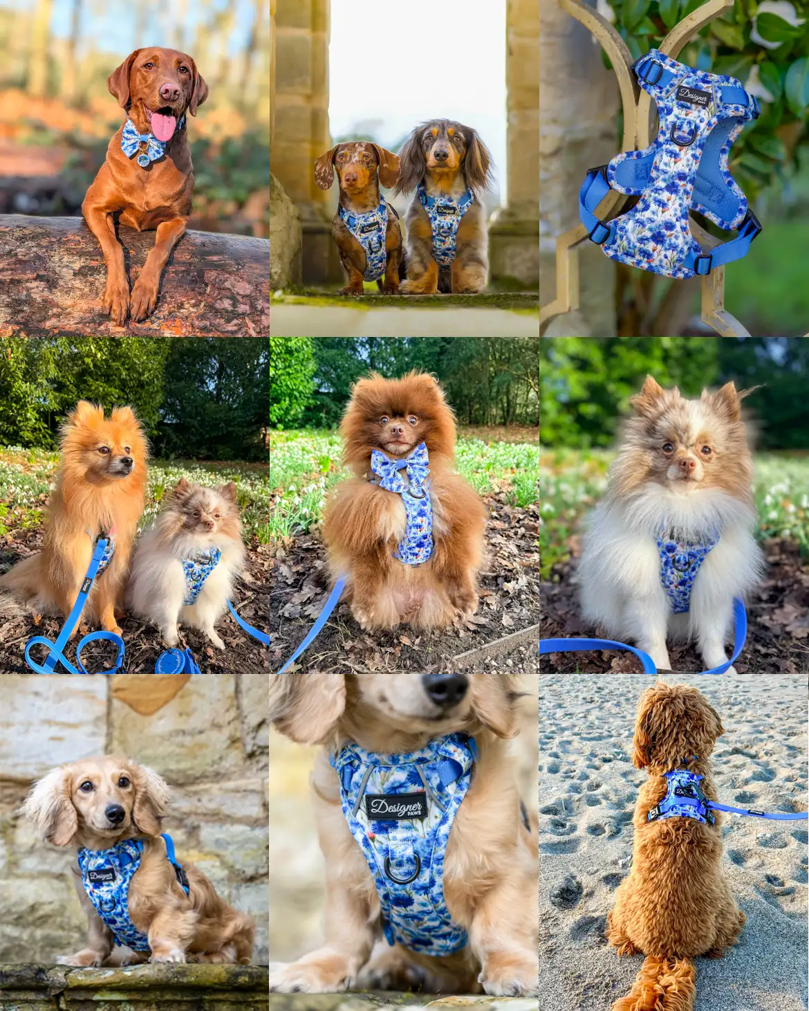 Flowers of the Forrest Harness Montage 5
