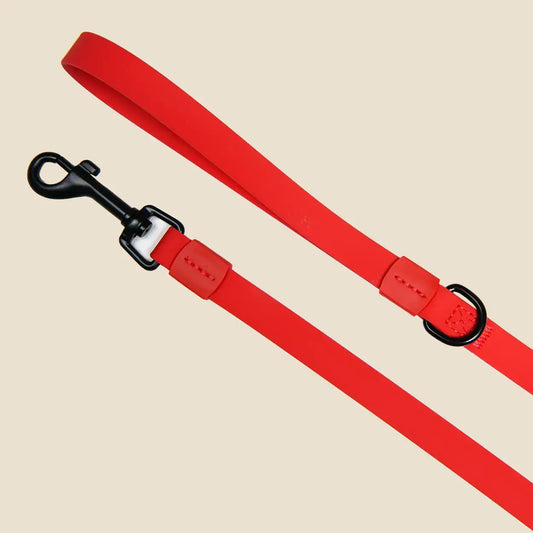 Colourpop™ Red Lead Both Ends