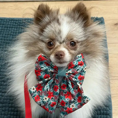 Dog image