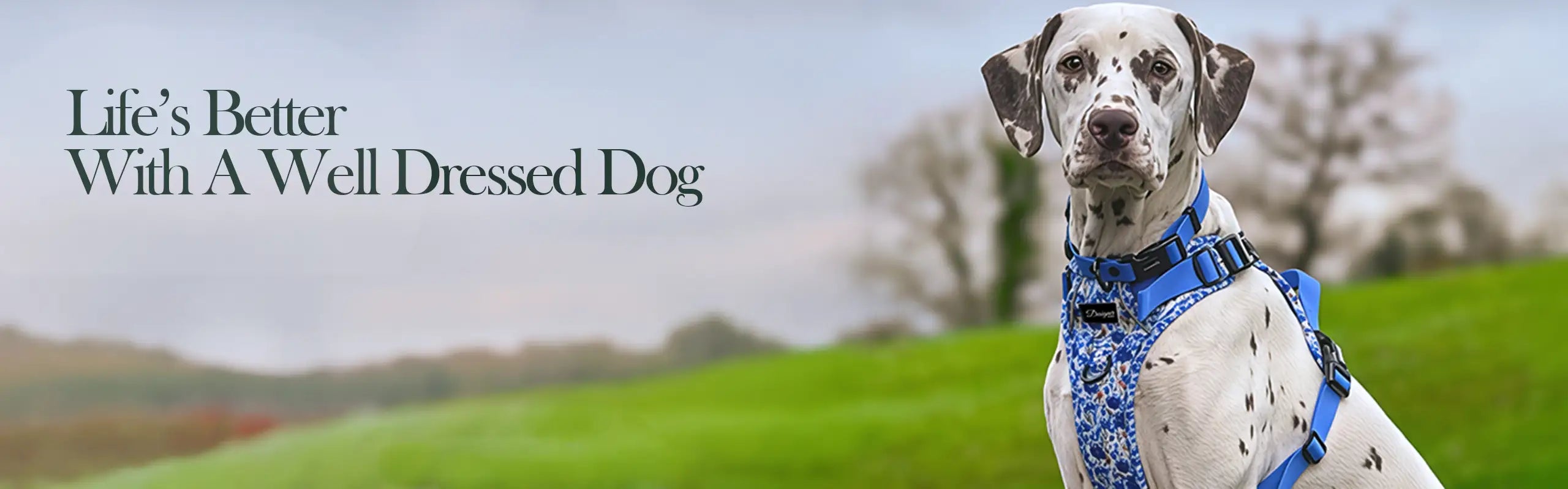 Lifes' Better Banner