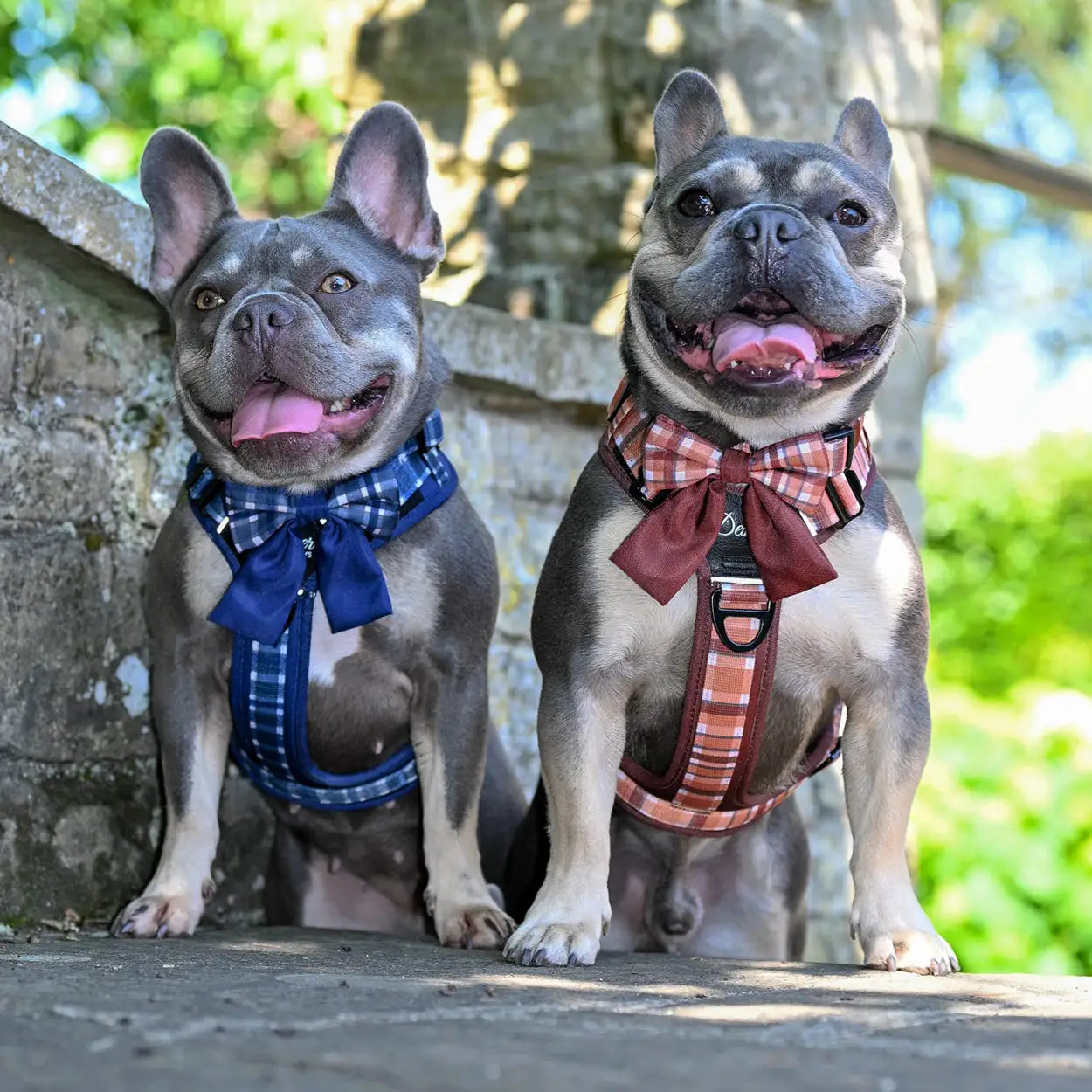 Adventure Pro™ Duo Harness Set – Walnut Woods & Midnight Moor